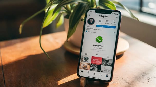 Tela de smartphone mostrando perfil do Instagram com ícone de link do WhatsApp, planta verde ao fundo.